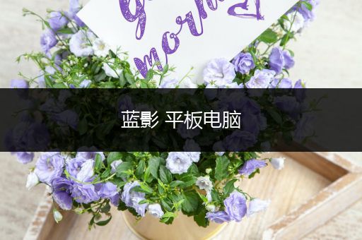 蓝影 平板电脑