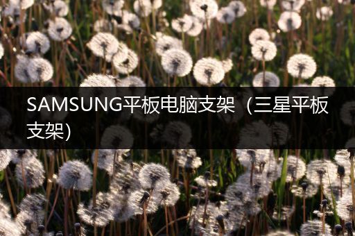SAMSUNG平板电脑支架（三星平板支架）