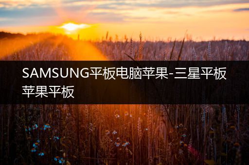 SAMSUNG平板电脑苹果-三星平板苹果平板