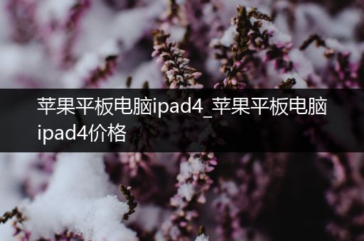 苹果平板电脑ipad4_苹果平板电脑ipad4价格