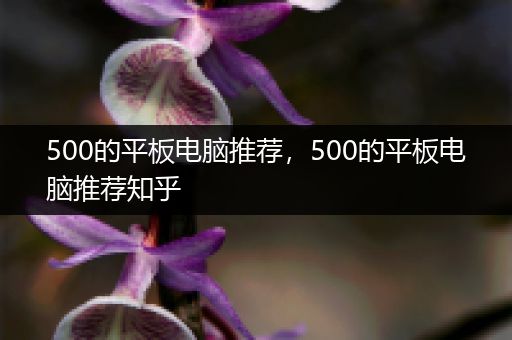 500的平板电脑推荐，500的平板电脑推荐知乎