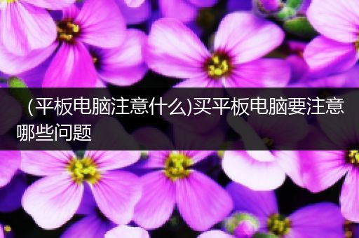 （平板电脑注意什么)买平板电脑要注意哪些问题