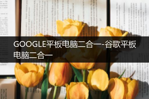 GOOGLE平板电脑二合一-谷歌平板电脑二合一