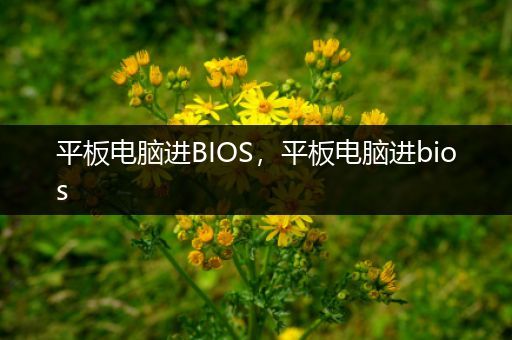 平板电脑进BIOS，平板电脑进bios