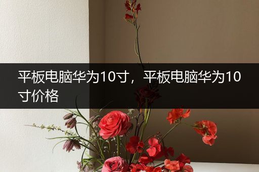 平板电脑华为10寸，平板电脑华为10寸价格