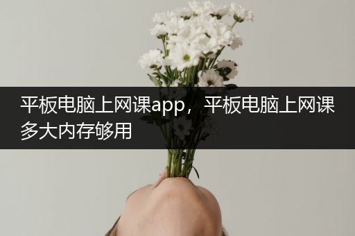 平板电脑上网课app，平板电脑上网课多大内存够用