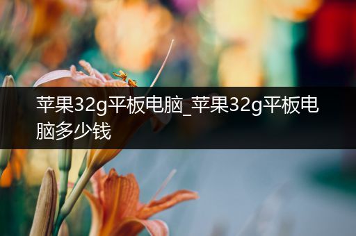 苹果32g平板电脑_苹果32g平板电脑多少钱