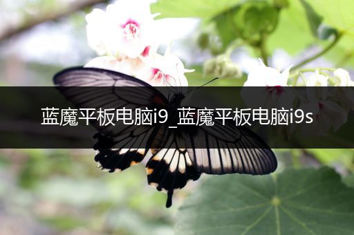 蓝魔平板电脑i9_蓝魔平板电脑i9s
