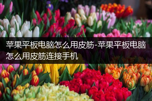 苹果平板电脑怎么用皮筋-苹果平板电脑怎么用皮筋连接手机