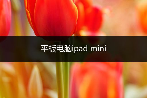 平板电脑ipad mini