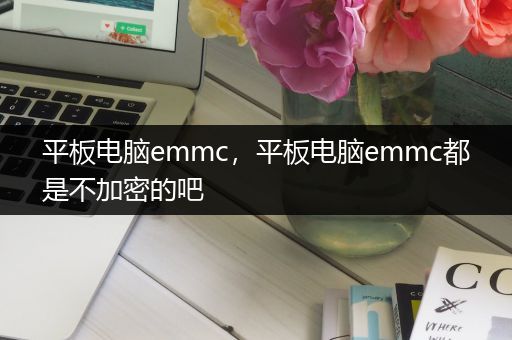 平板电脑emmc，平板电脑emmc都是不加密的吧