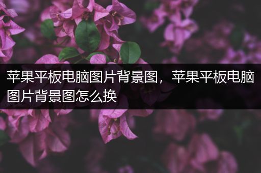 苹果平板电脑图片背景图，苹果平板电脑图片背景图怎么换