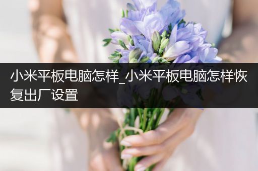 小米平板电脑怎样_小米平板电脑怎样恢复出厂设置