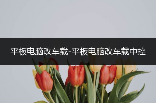 平板电脑改车载-平板电脑改车载中控