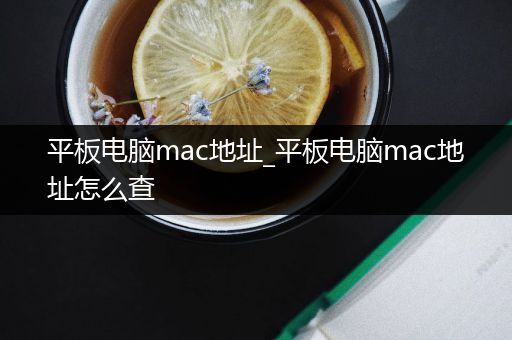 平板电脑mac地址_平板电脑mac地址怎么查