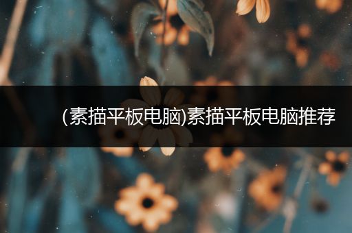 （素描平板电脑)素描平板电脑推荐