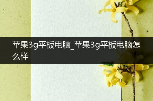 苹果3g平板电脑_苹果3g平板电脑怎么样