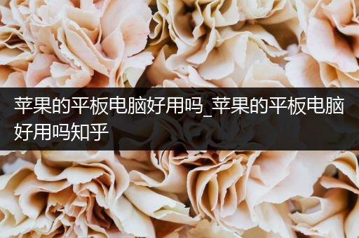 苹果的平板电脑好用吗_苹果的平板电脑好用吗知乎