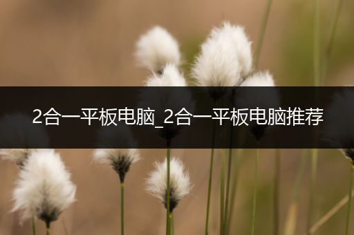 2合一平板电脑_2合一平板电脑推荐