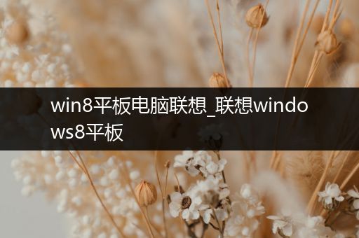 win8平板电脑联想_联想windows8平板