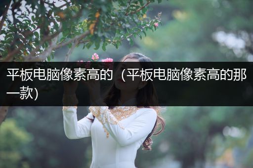 平板电脑像素高的（平板电脑像素高的那一款）