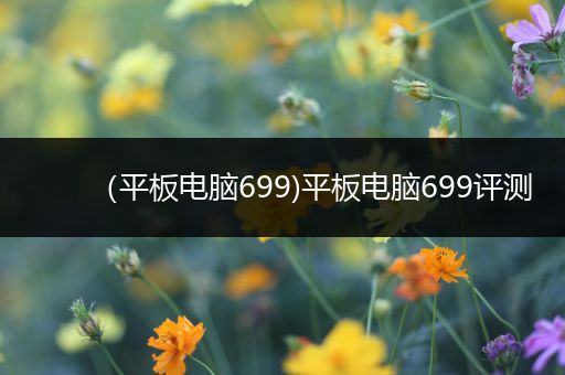 （平板电脑699)平板电脑699评测