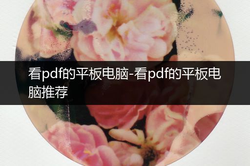 看pdf的平板电脑-看pdf的平板电脑推荐