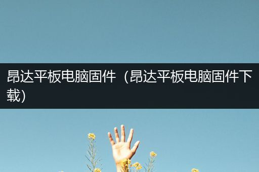 昂达平板电脑固件（昂达平板电脑固件下载）