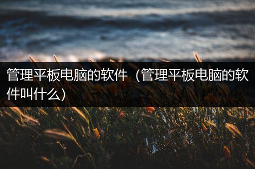 管理平板电脑的软件（管理平板电脑的软件叫什么）