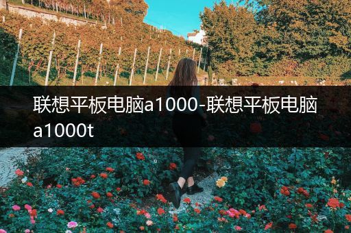 联想平板电脑a1000-联想平板电脑a1000t