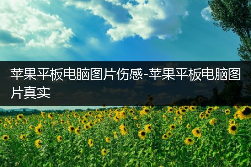 苹果平板电脑图片伤感-苹果平板电脑图片真实