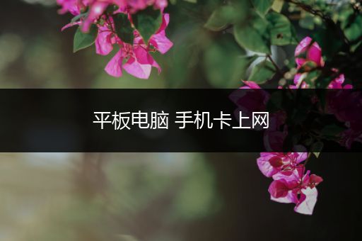 平板电脑 手机卡上网