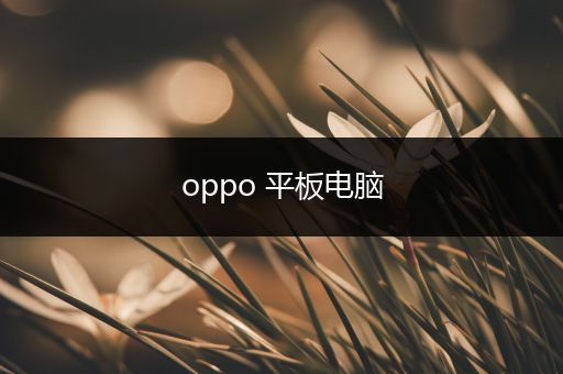 oppo 平板电脑