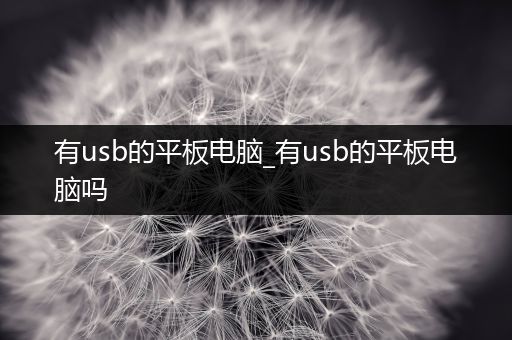 有usb的平板电脑_有usb的平板电脑吗