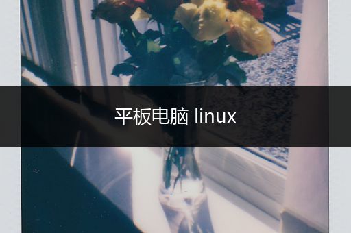 平板电脑 linux