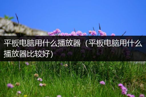 平板电脑用什么播放器（平板电脑用什么播放器比较好）