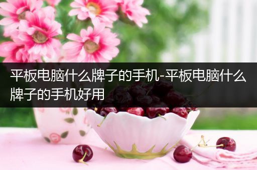 平板电脑什么牌子的手机-平板电脑什么牌子的手机好用