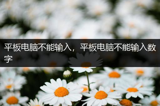 平板电脑不能输入，平板电脑不能输入数字