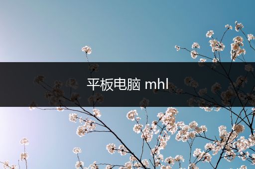 平板电脑 mhl