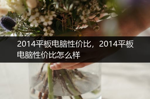 2014平板电脑性价比，2014平板电脑性价比怎么样