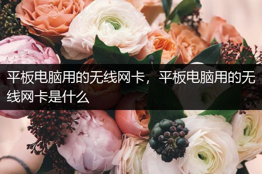 平板电脑用的无线网卡，平板电脑用的无线网卡是什么