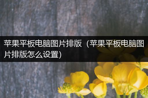 苹果平板电脑图片排版（苹果平板电脑图片排版怎么设置）