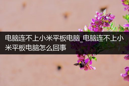 电脑连不上小米平板电脑_电脑连不上小米平板电脑怎么回事