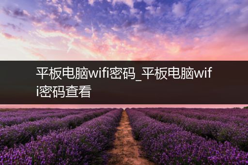 平板电脑wifi密码_平板电脑wifi密码查看