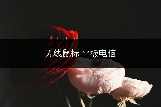 无线鼠标 平板电脑