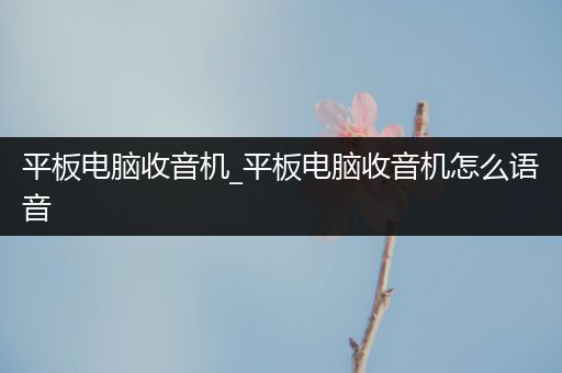 平板电脑收音机_平板电脑收音机怎么语音