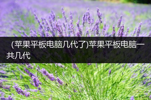 （苹果平板电脑几代了)苹果平板电脑一共几代