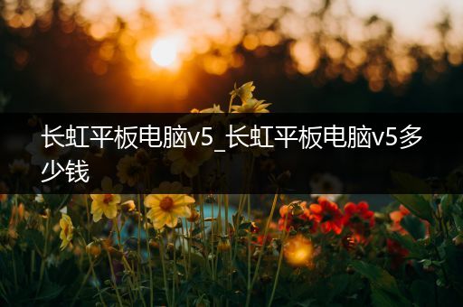 长虹平板电脑v5_长虹平板电脑v5多少钱