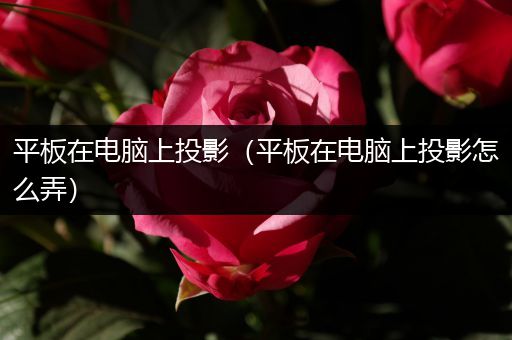 平板在电脑上投影（平板在电脑上投影怎么弄）
