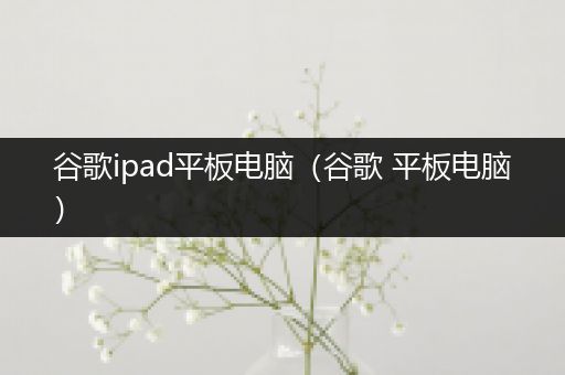 谷歌ipad平板电脑（谷歌 平板电脑）